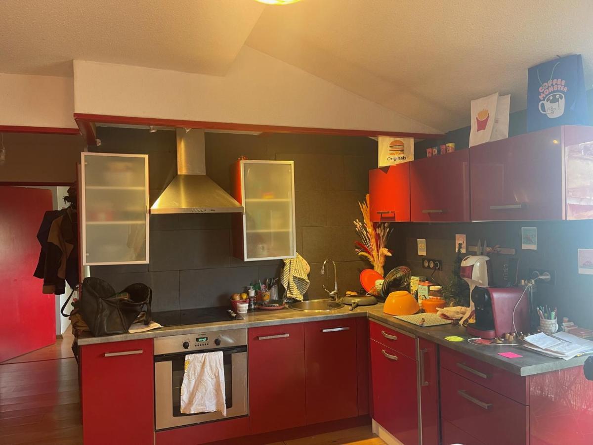 Appartement Au Centre Ville De Tuluza Zewnętrze zdjęcie