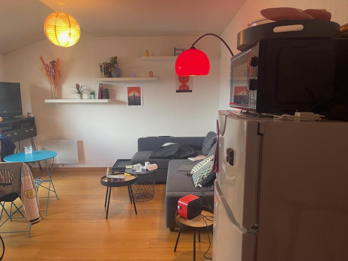Appartement Au Centre Ville De Tuluza Zewnętrze zdjęcie